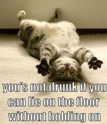 9_funny_drunk_cat